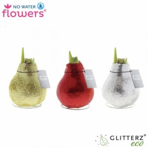 Хипеаструм D15 H25 - Hippeastrum wax