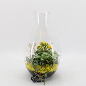 Растения в стъклен съд D17 H30 - Terrarium
