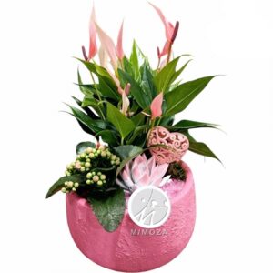 Аранжировка D21 H40 - Plant arrangement