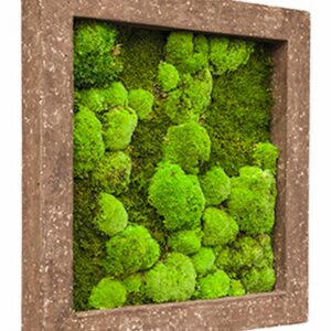 Рамка конс. мъх  50х50см - Frame Polystone Rock