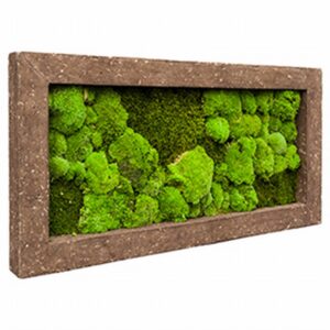 Рамка конс. мъх 100х50см - Frame Polystone Rock