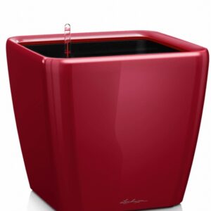 Quadro Premium LS set 21x21 H20 - Red
