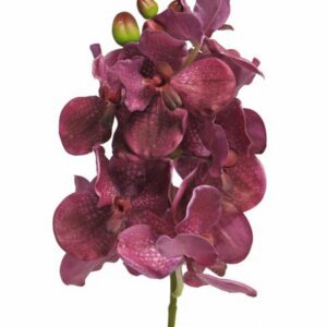 Орхидея Ванда 73см пласт.-Vanda Ariadne fuchsia