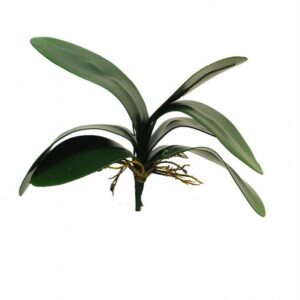 Орхидея листа х7 29cm пласт. - Phalaenopsis leaf