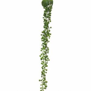 Сенецио 60см пласт. - Senecio hanger