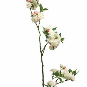 Прунус 158см пласт. - Prunus Charlot cream
