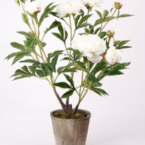 Божур 75см пласт. - Peony cream antique pot
