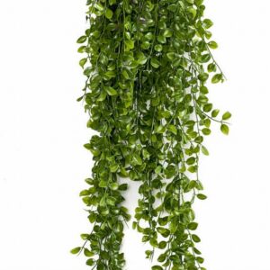 Фикус x6 80см пласт. - Ficus pumila hang bush