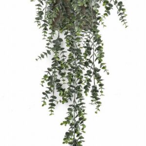 Евкалипт х5 75см пласт. - Eucalyptus hang bush