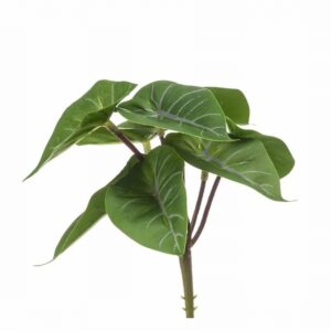 Антуриум 13см пласт. - Anthurium mini bush