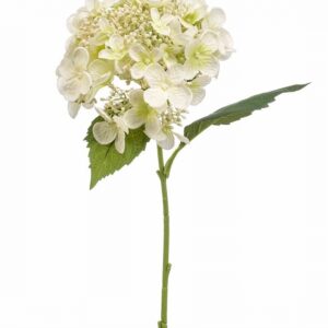 Хидрангеа 50см пласт. - Hydrangea spray white