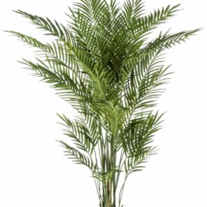 Арека палма H170см пласт. - Areca palm