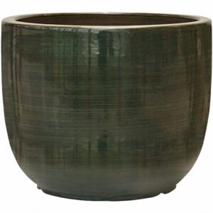 Plain Striped D33 H27 - Couple olive