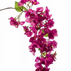 Бугаенвилeа 99см пласт.- Bougainvillеа purple