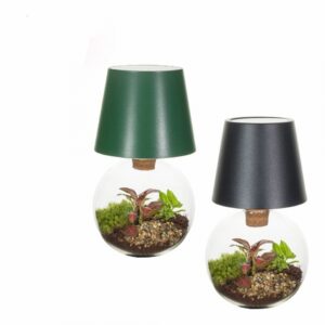 Растения в стъклен съд D12.5 екосистема - Terrarium LED