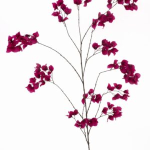 Бугаенвилeа клонка 175см пласт.- Bougainvillеа beauty